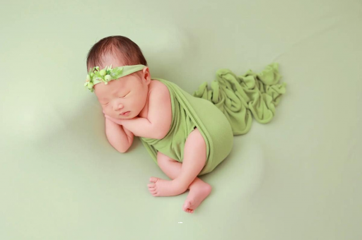 舞钢会说话的宝宝 舞钢会说话的宝宝